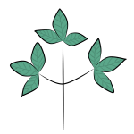 leaves, plant, cutout-8454359.jpg